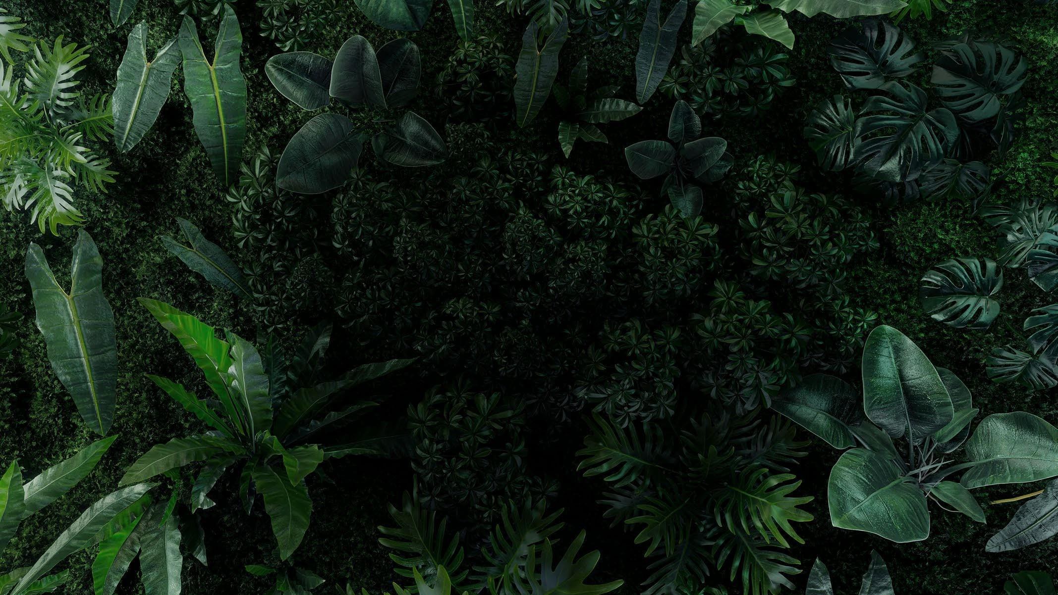 Green masterplan mood with park landscape